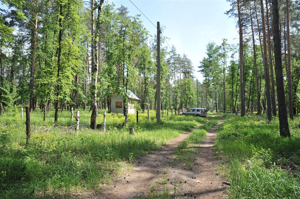Лесной поселок 22. Посёлок Прибрежный Самарская область. Орленок Прибрежный Самара.